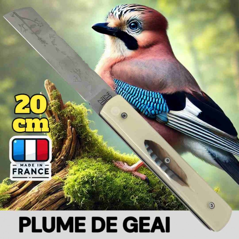 Couteau  20/20 Le Fidèle plume bleue geai des chenes