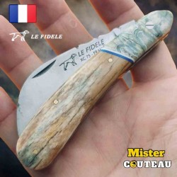 Couteau serpette Le Fidèle molaire mammouth os chameau teinté lame carbone