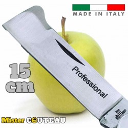 Couteau italien Fraraccio greffoir manche tout inox 15 cm