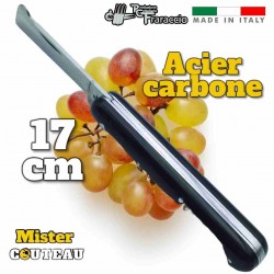 Couteau italien Fraraccio greffoir manche ABS lame carbone 17 cm