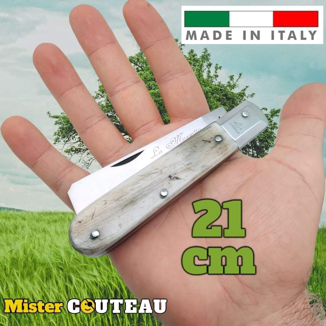 Couteau italien Fraraccio Mozzetta 21cm corne antique mitre inox