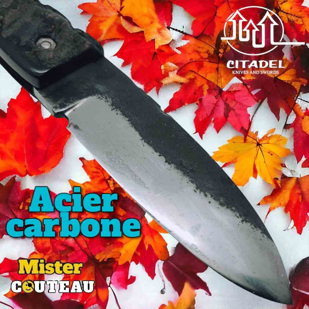 Couteau Citadel Aizto 2 clous buffle forgé main 20 cm