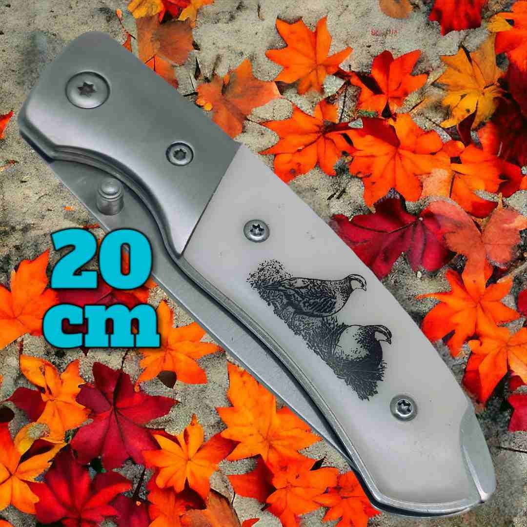 Couteau Albainox perdrix Deluxe 20 cm manche ABS décoré