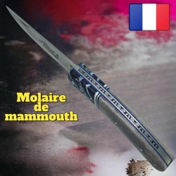 Couteau Thiers par Le Fidèle molaire de mammouth bleu os de chameau