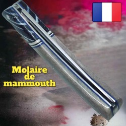 Couteau Thiers par Le Fidèle molaire de mammouth bleu os de chameau