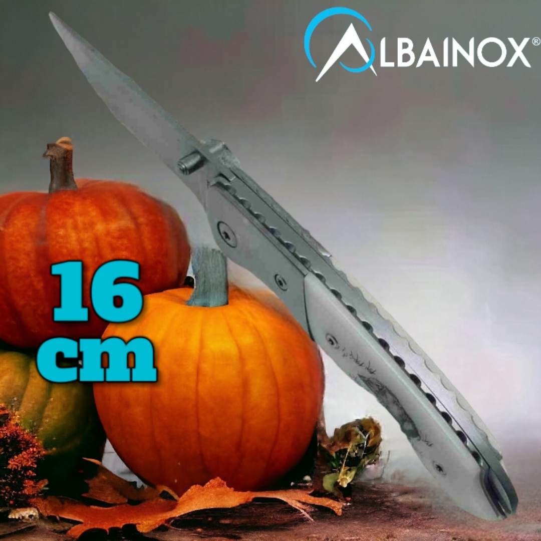 Couteau Albainox sanglier Deluxe 16 cm manche ABS décoré