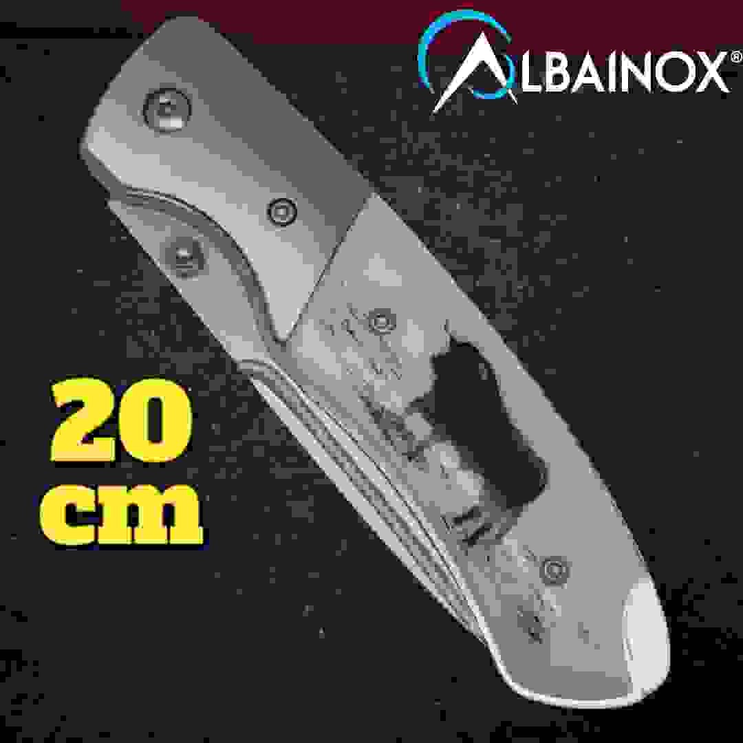 Couteau Albainox TAUREAU Deluxe 20 cm manche ABS décoré