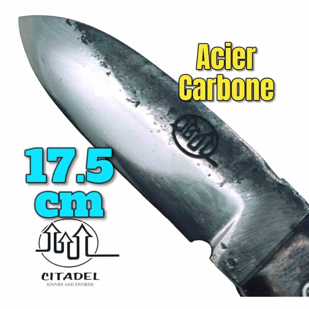 Petit couteau pliant artisanal Citadel Aizto corne buffle forgé main 17.5 cm  3