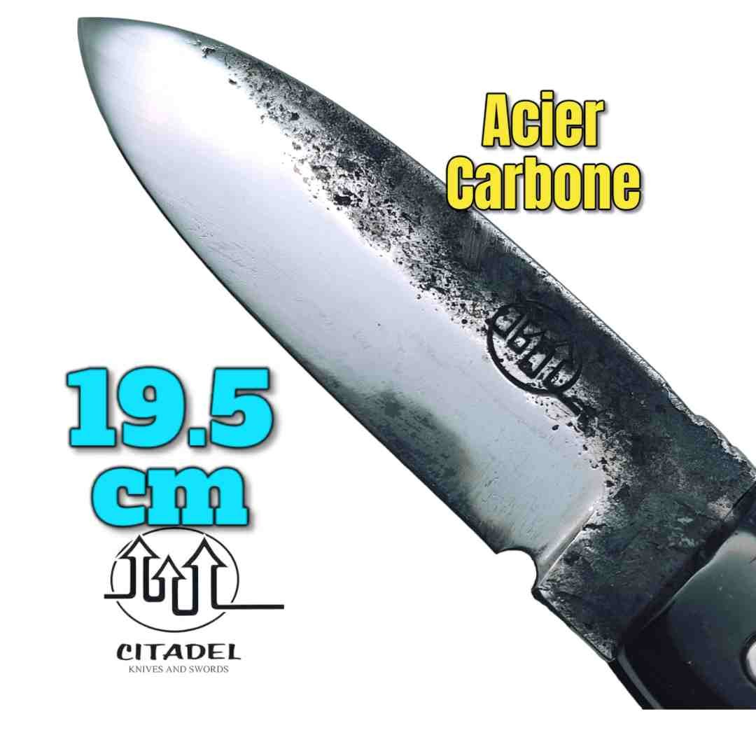 Couteau pliant artisanal Citadel Aizto corne buffle forgé main 19.5 cm N7
